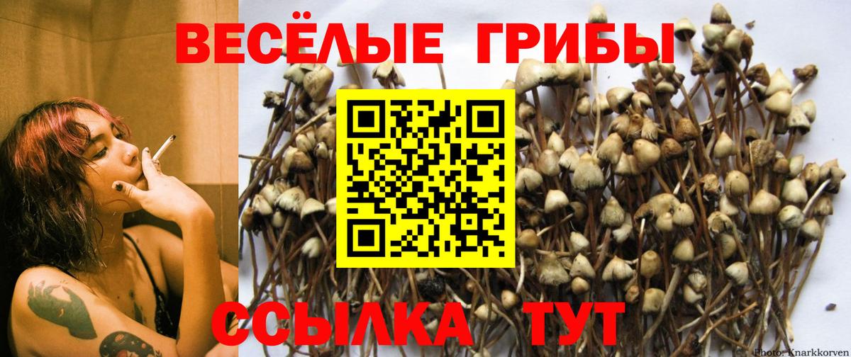Рыбинск  Псилоцибиновые грибы MAGIC MUSHROOMS  Вход с VPN 